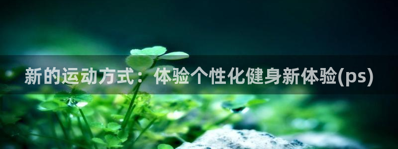 三亿体育官网下载平台:新的运动方式:体验个性化健身新体验(p