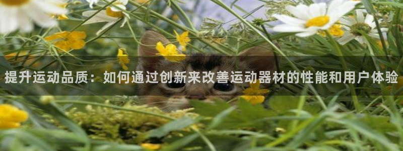 三亿体育官方正版app官方:提升运动品质:如何通过创新来改善