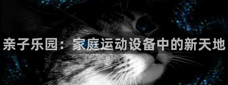 三亿体育官网下载软件:亲子乐园:家庭运动设备中的新天地
