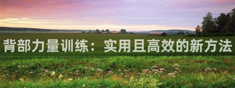 三亿体育官网下载娱乐:背部力量训练:实用且高效的新方法